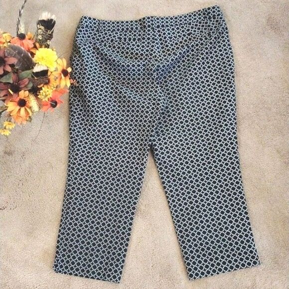 Hilary Radley Cropped Pants - Picture 3 of 7